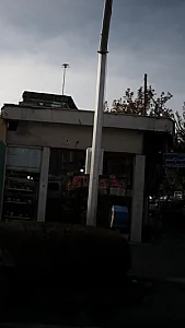 دشت گل