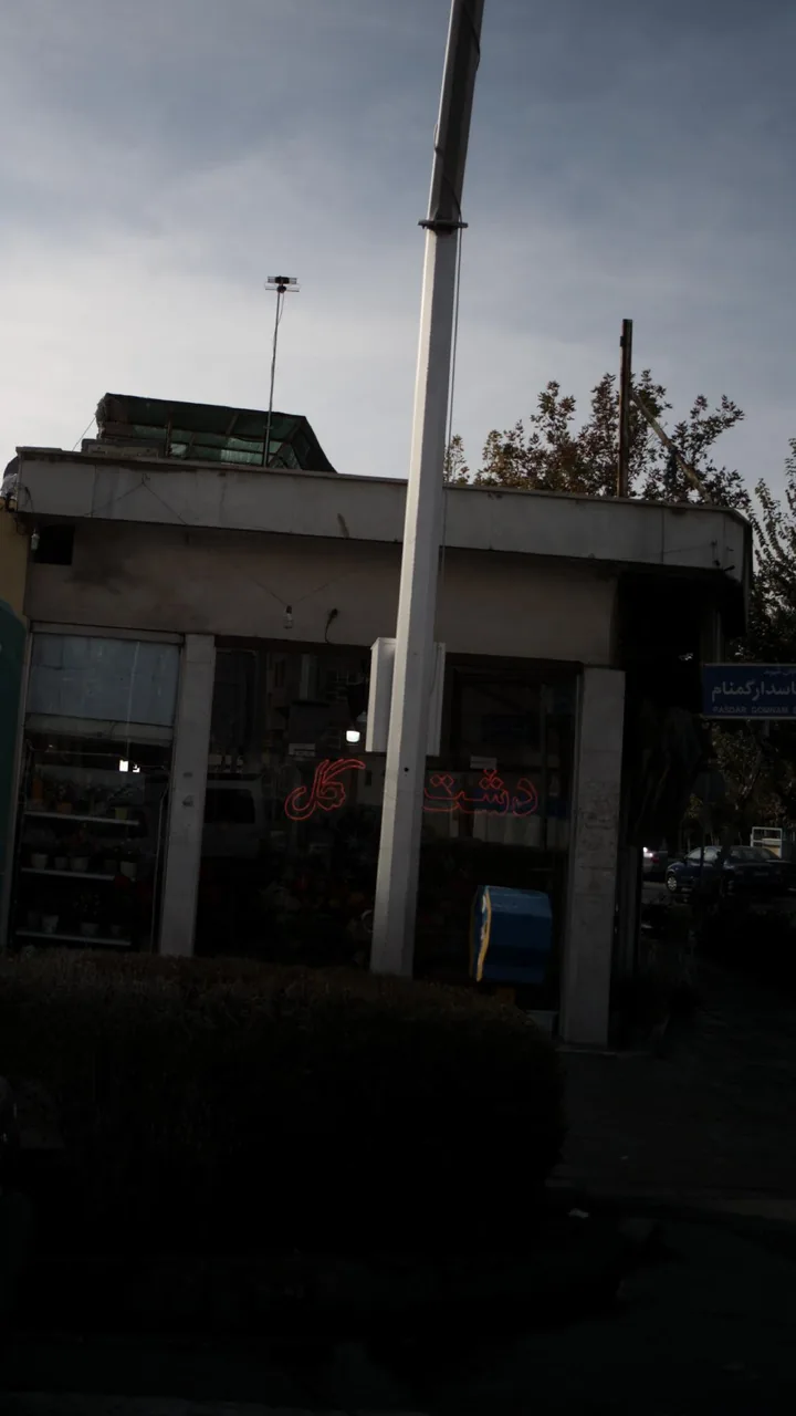 دشت گل