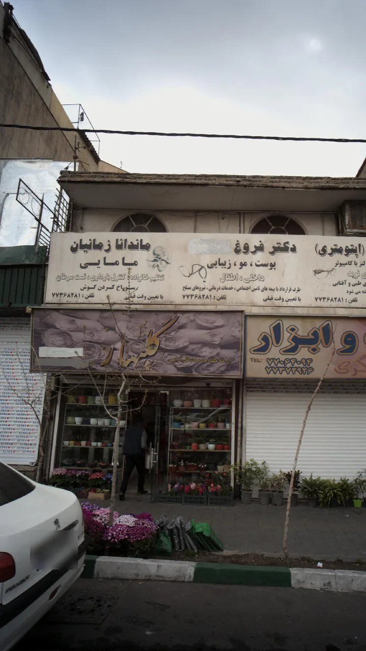 گلبهار - تصویر 3