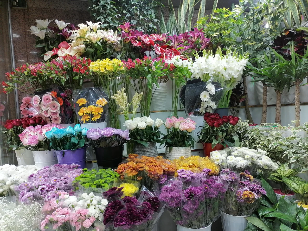 گل فروشی مرسی بانو - تصویر 4