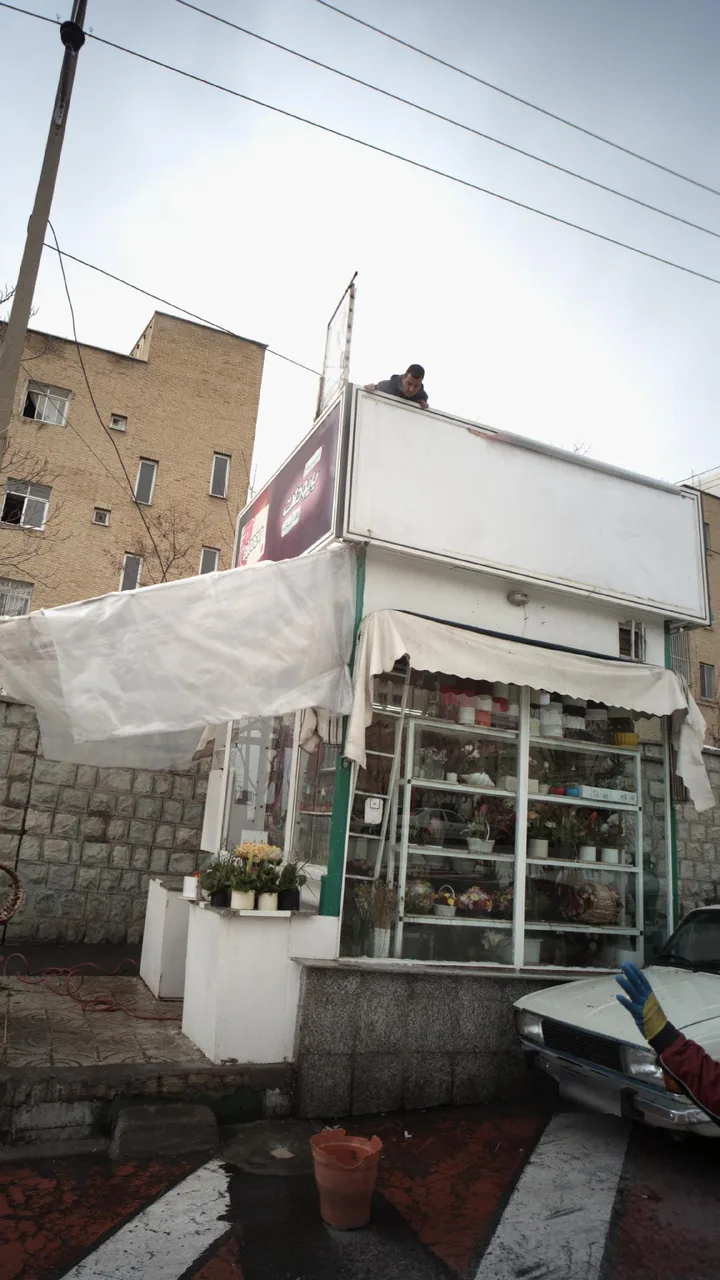 دکه گل فروشی - تصویر 2