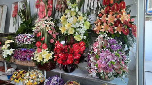 گلفروشی شاخه ای آرتمیس فرمانیه