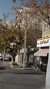گلسرای گلستان