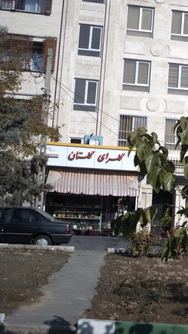 گلسرای گلستان - تصویر 2