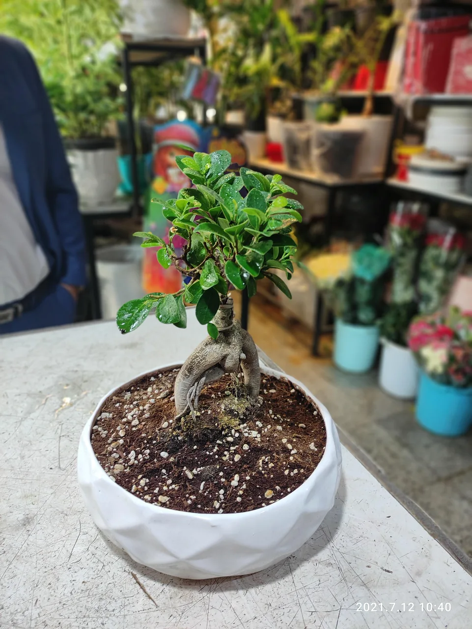 سوپر گل فردوس - تصویر 4
