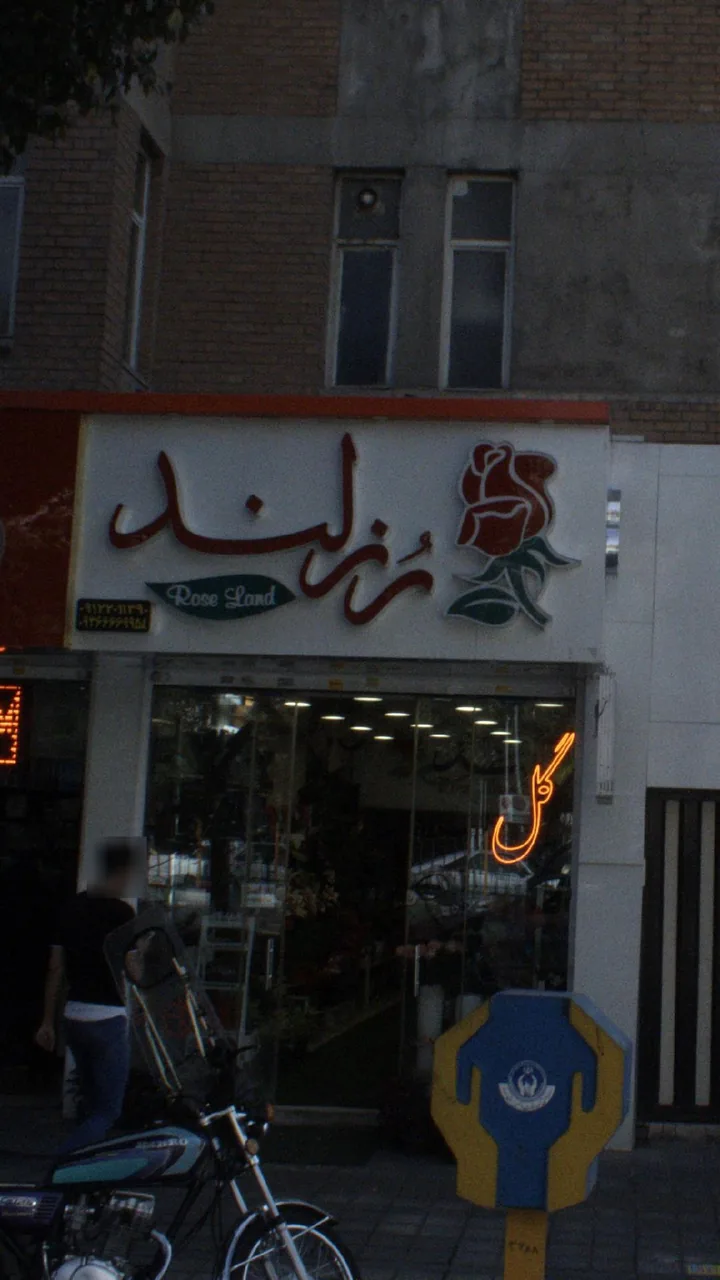 رز لند