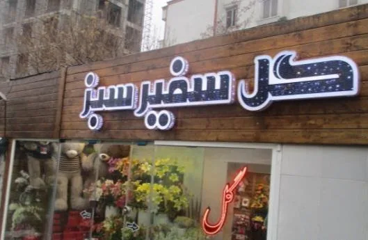 گل سفیر سبز - تصویر 2