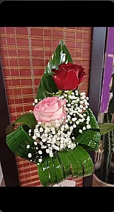گل مانوشاک