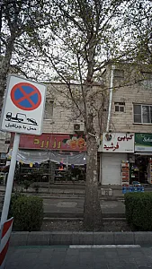 گل فروشی رززرد
