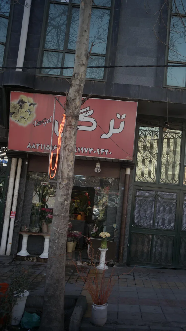 گل فروشی ترگل - تصویر 2