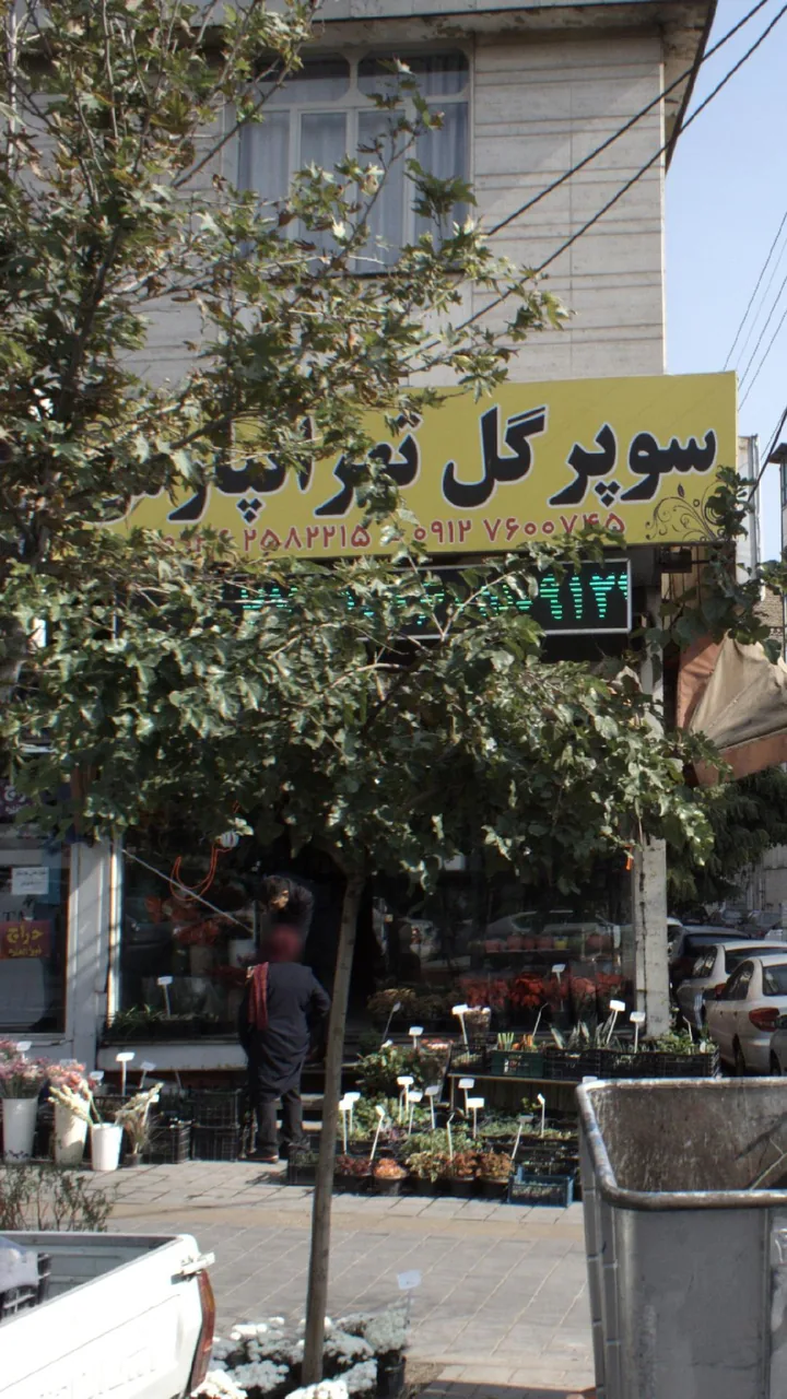سوپر گل تهرانپارس - تصویر 3