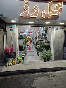 گل رز
