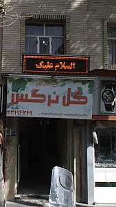 گل نرگس