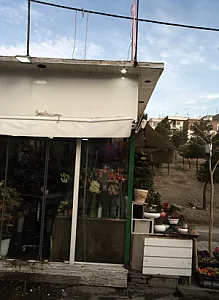 گل فروشی