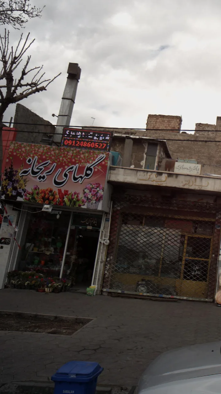 گلهای ریحانه