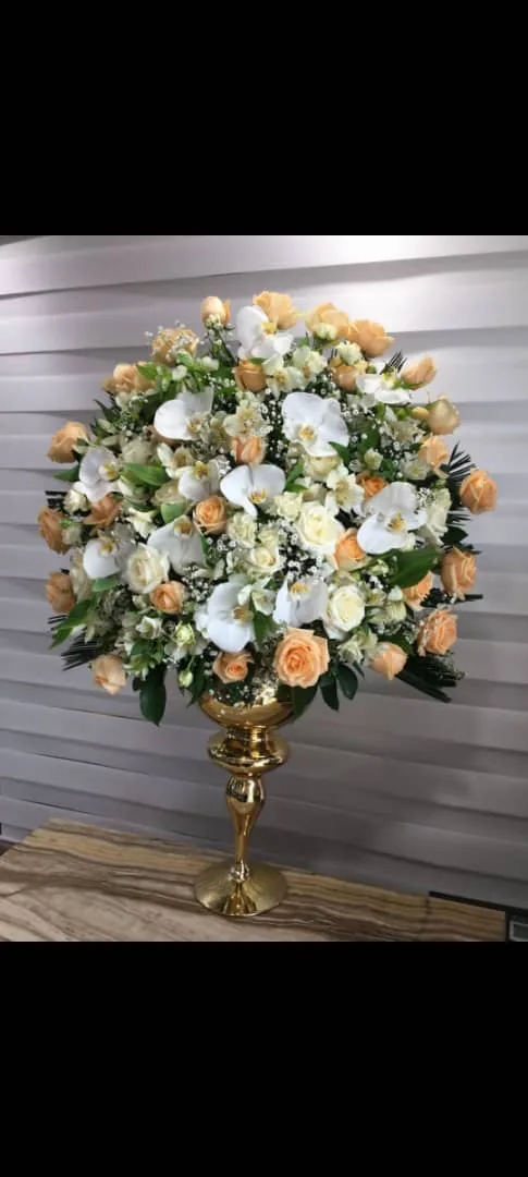 گل و گیاه بنیتا - تصویر 2