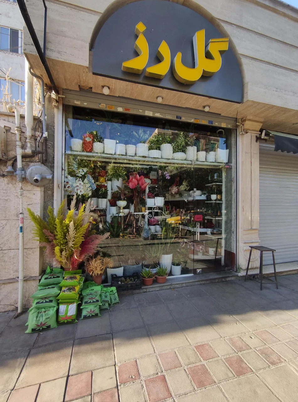 فروشگاه گل رز - تصویر 2
