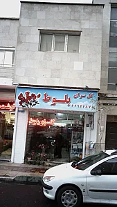 گل سرای بلوط