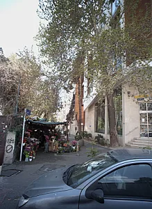 گل فروشی