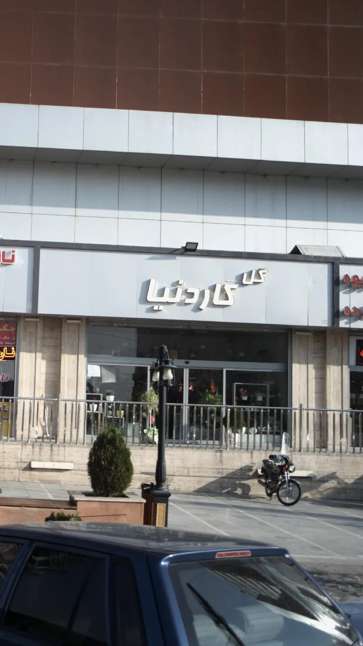 گل گاردنیا - تصویر 2