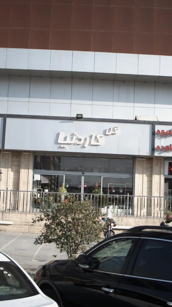 گل گاردنیا - تصویر 3