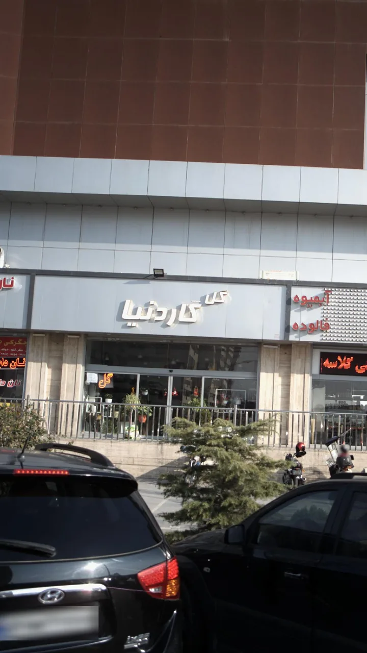 گل گاردنیا - تصویر 4