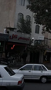 تبسم گل