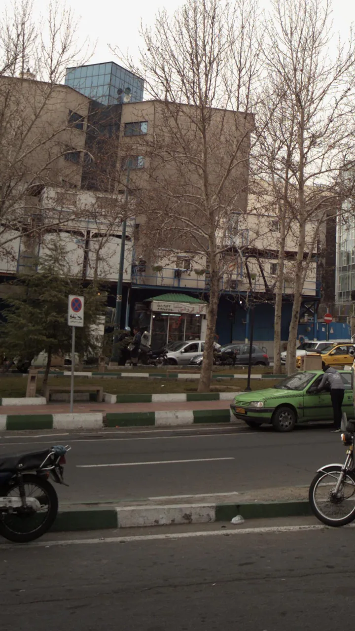 گل فروشی سلدا