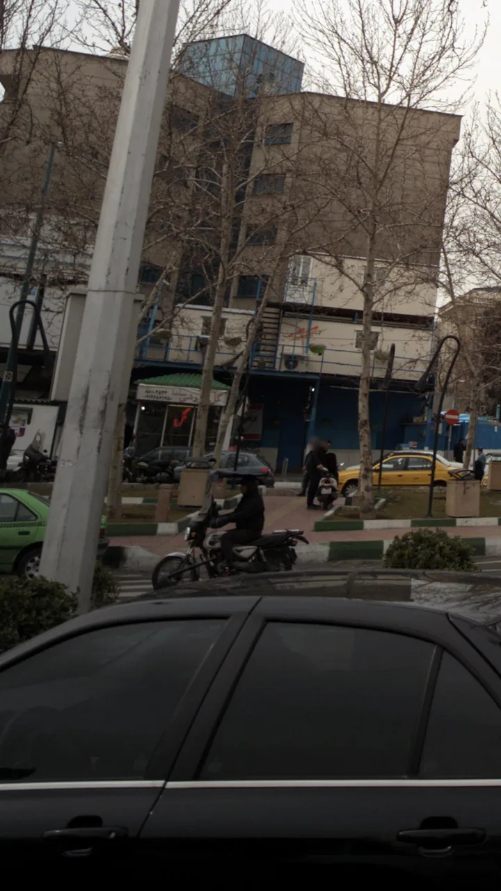 گل فروشی سلدا - تصویر 2
