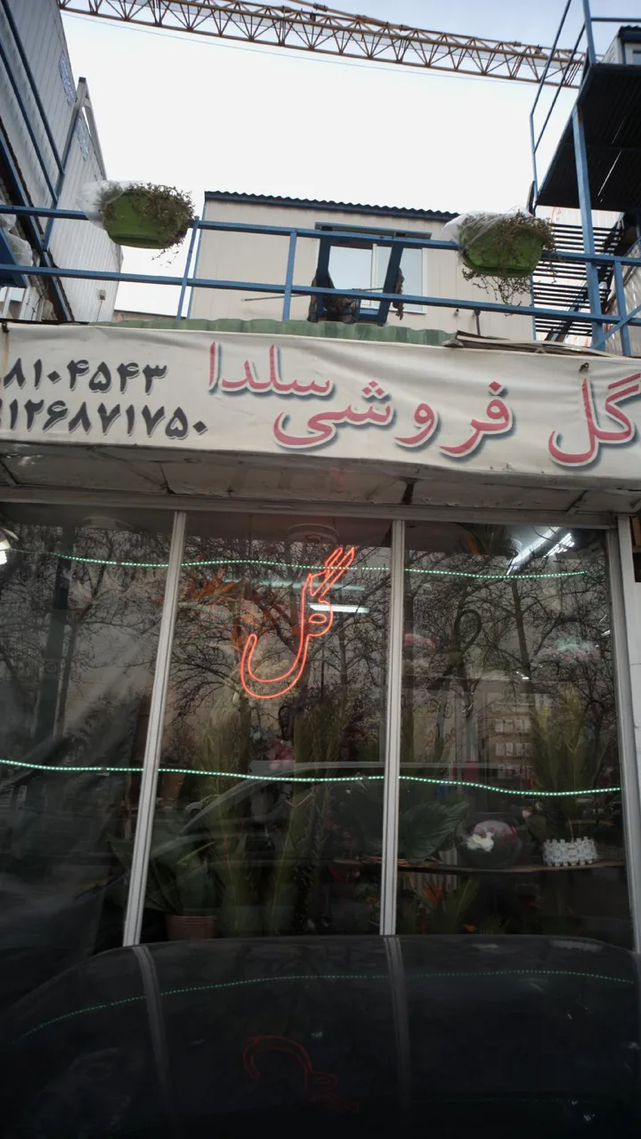 گل فروشی سلدا - تصویر 3