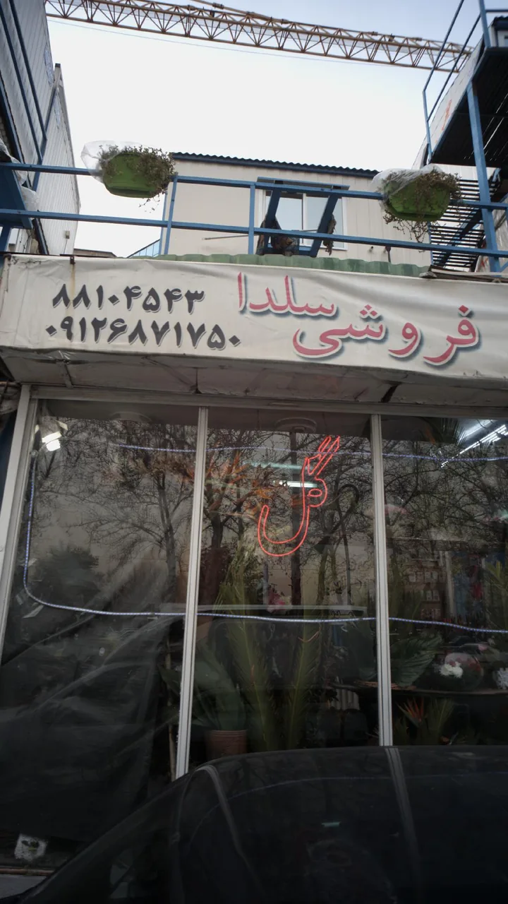 گل فروشی سلدا - تصویر 4