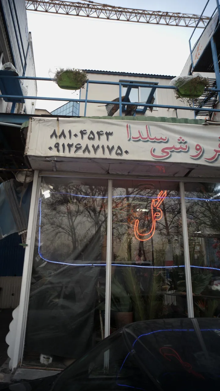 گل فروشی سلدا - تصویر 5