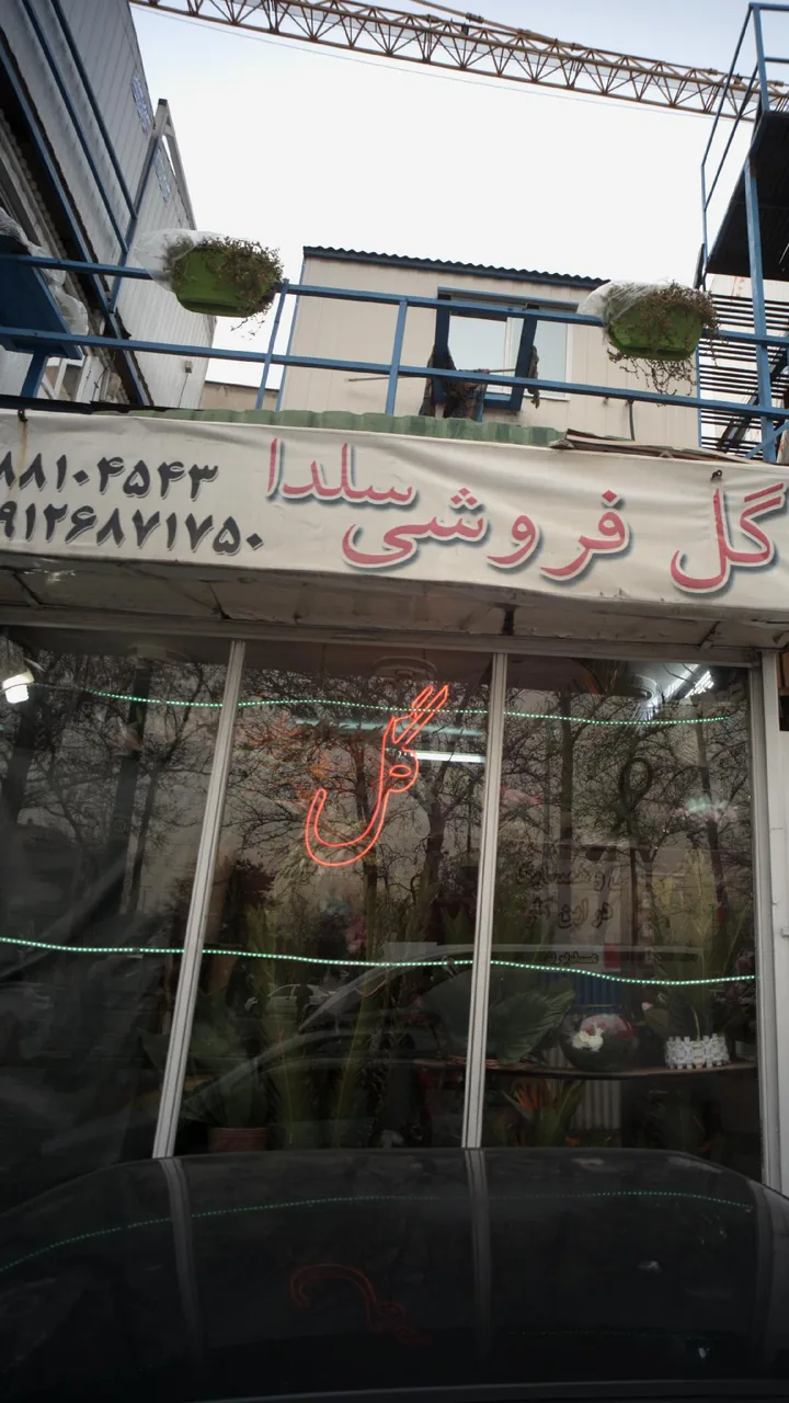 گل فروشی سلدا - تصویر 6