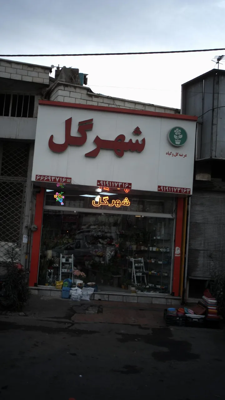 شهر گل