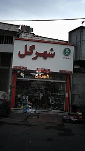 شهر گل