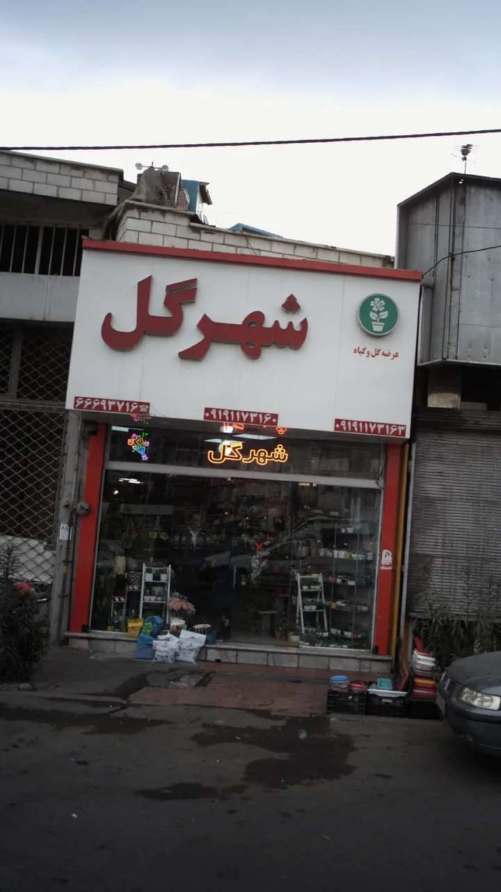 شهر گل - تصویر 2