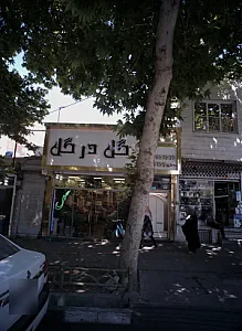 گل در گل