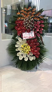 گلستان نگین