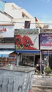 گل رز