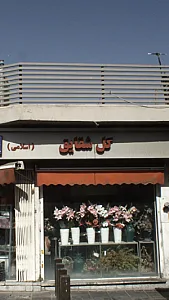 گل شقایق