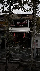 فروشگاه گلچین