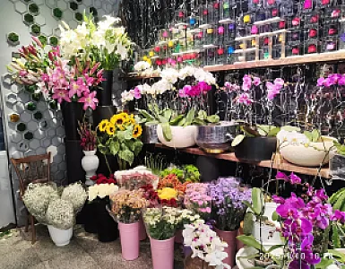 گل فروشی رز ژولیت