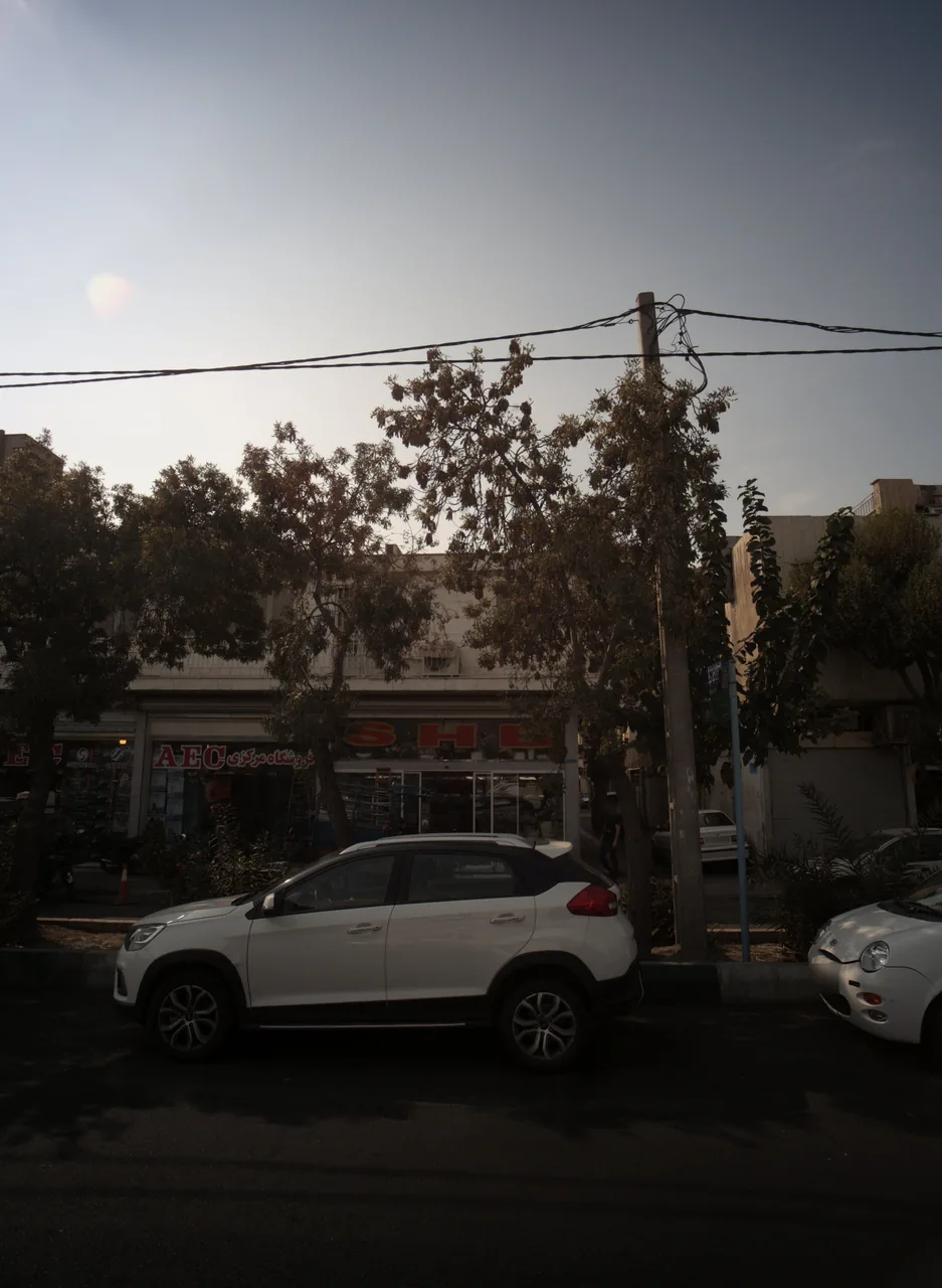 گل فروشی