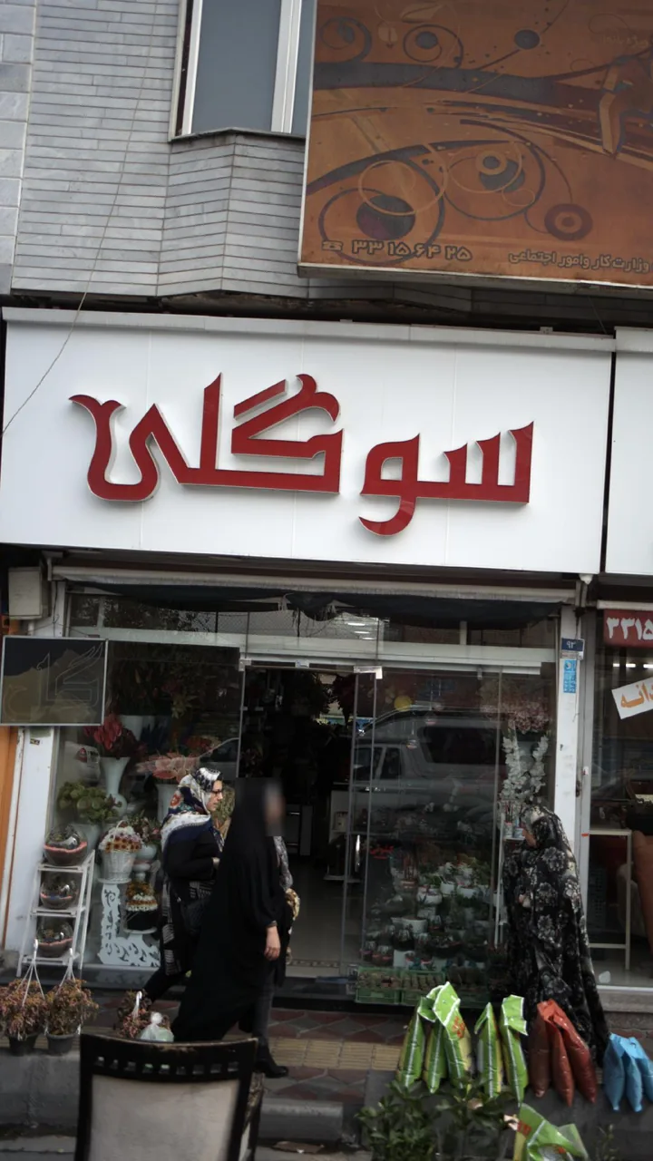 گل فروشی سوگلی