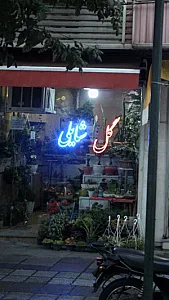 گل شایلی