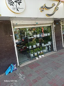 گل هدیه