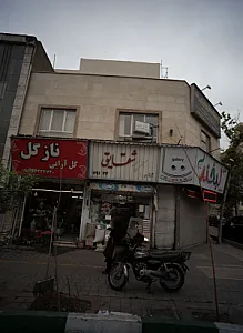 نازگل