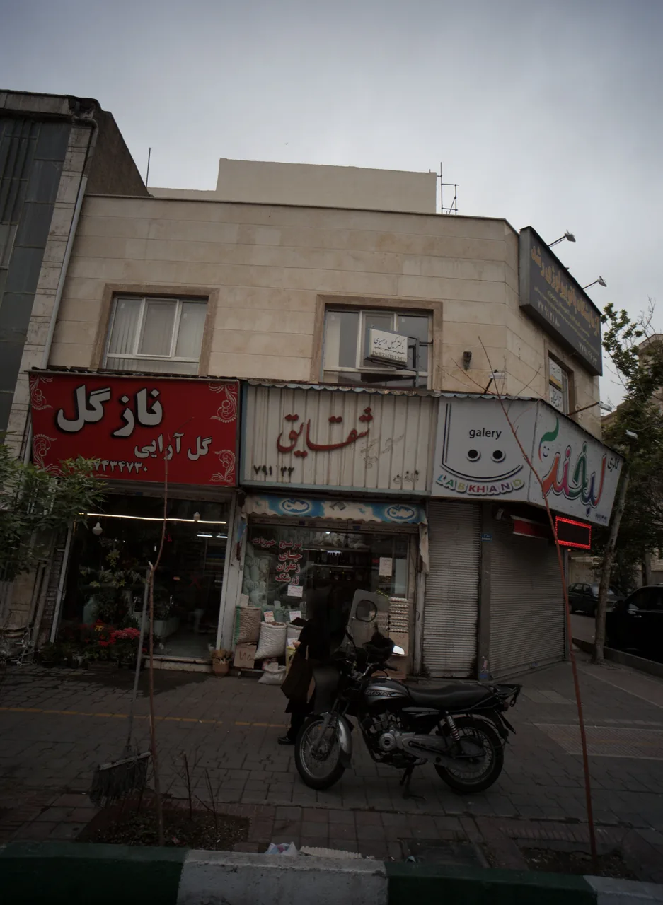 نازگل