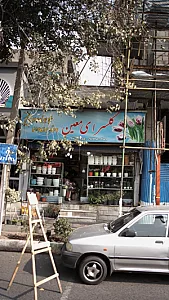 گلسرای معین