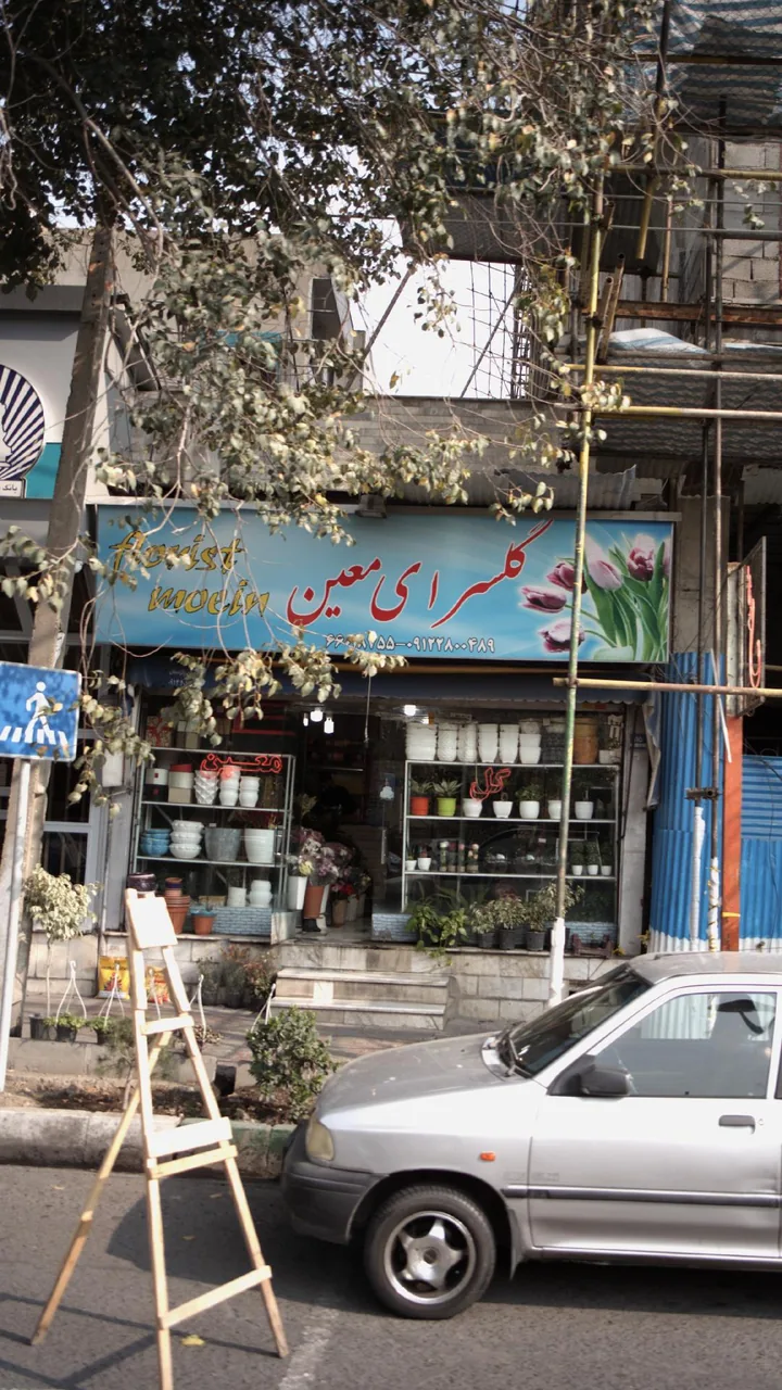 گلسرای معین